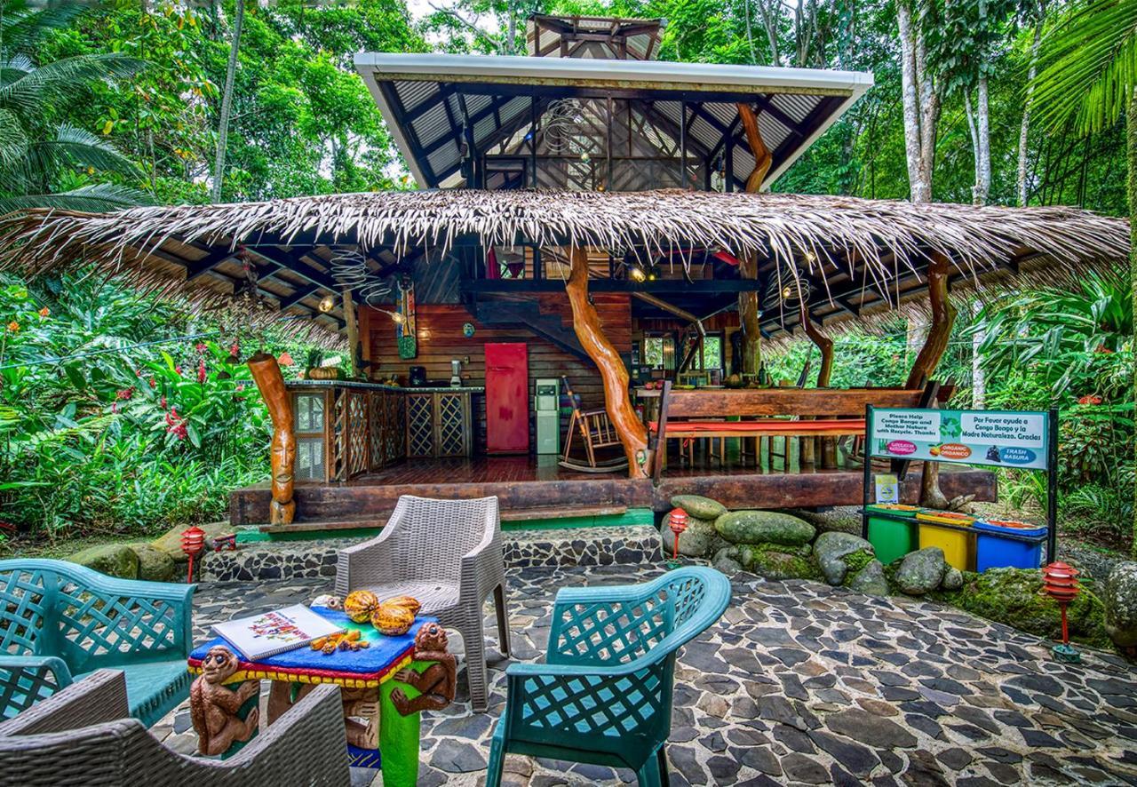 Congo Bongo Ecovillage Costa Rica Puerto Viejo de Talamanca Kültér fotó