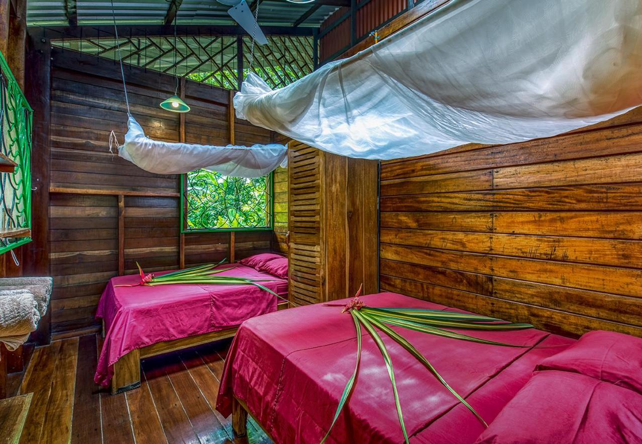 Congo Bongo Ecovillage Costa Rica Puerto Viejo de Talamanca Kültér fotó